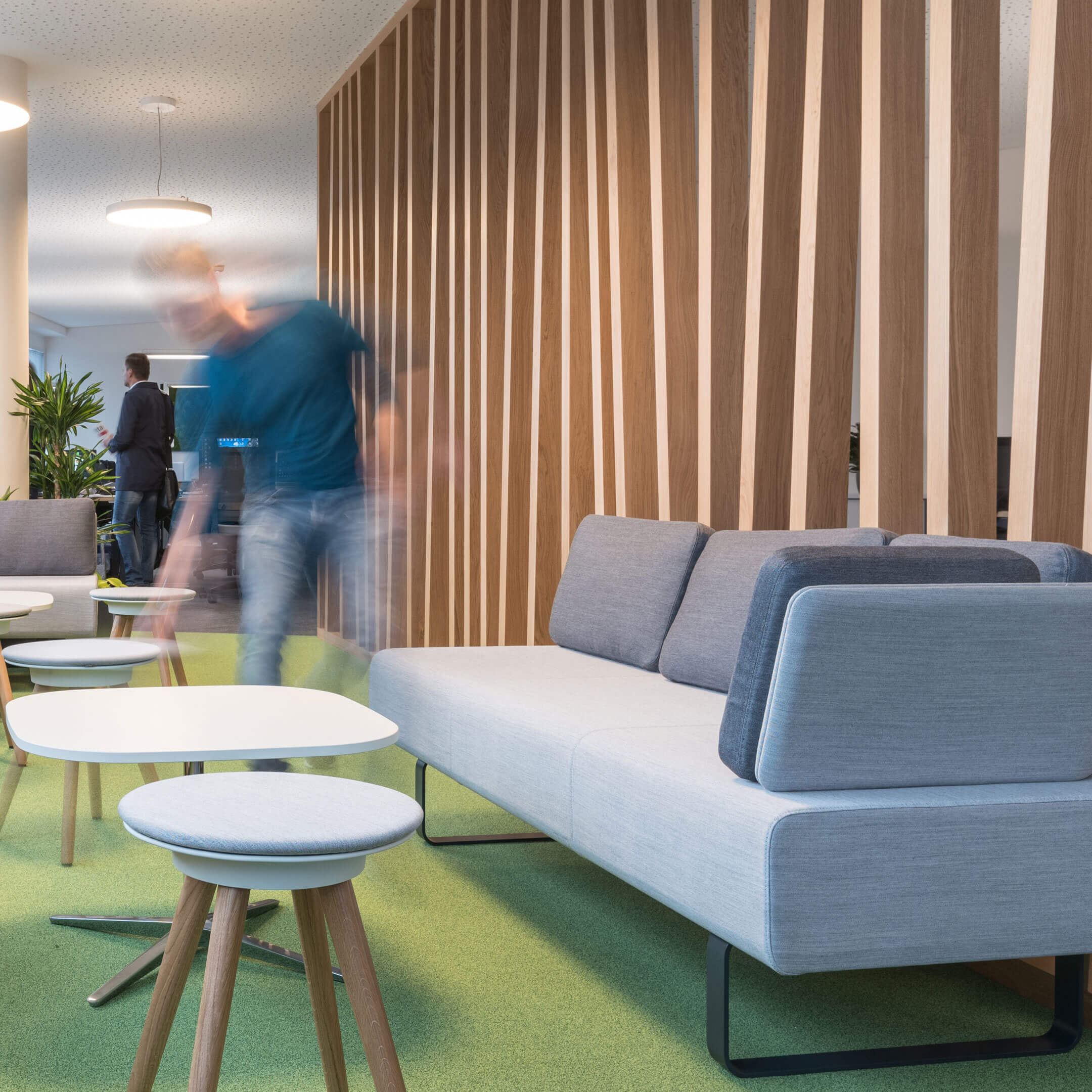 dm-office
